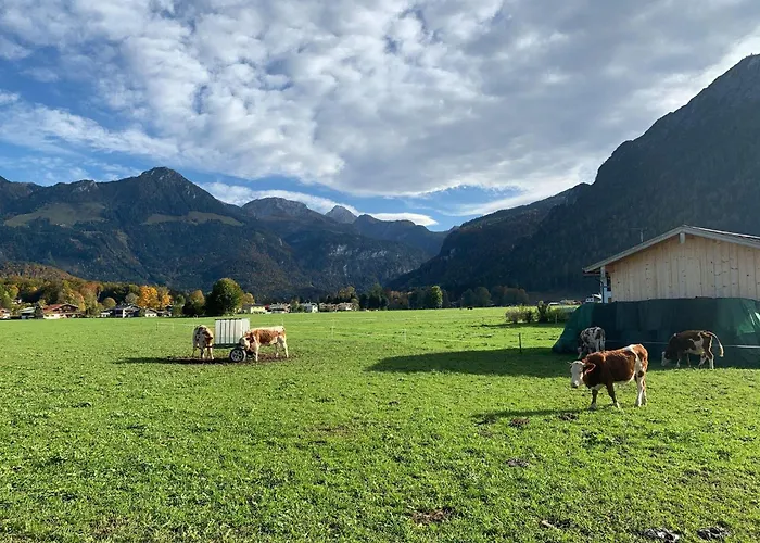 Apartamento Hoher Goellblick